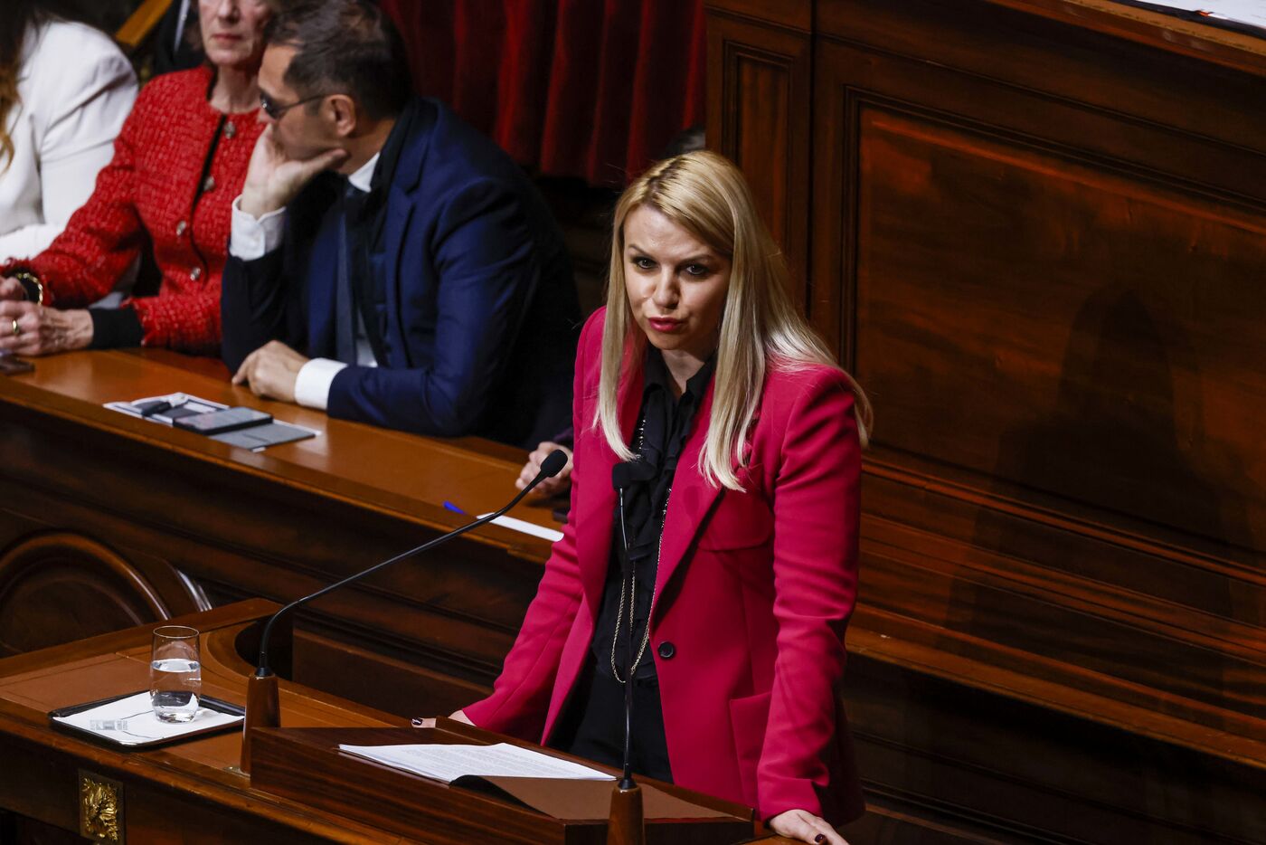 La députée RN Hélène Laporte, a été désignée rapporteure sur la pétition contre la loi Duplomb. LP/Olivier Corsan
